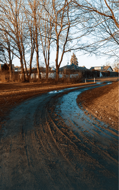 Via não pavimentada com aplicação de supressor de poeira em área arborizada