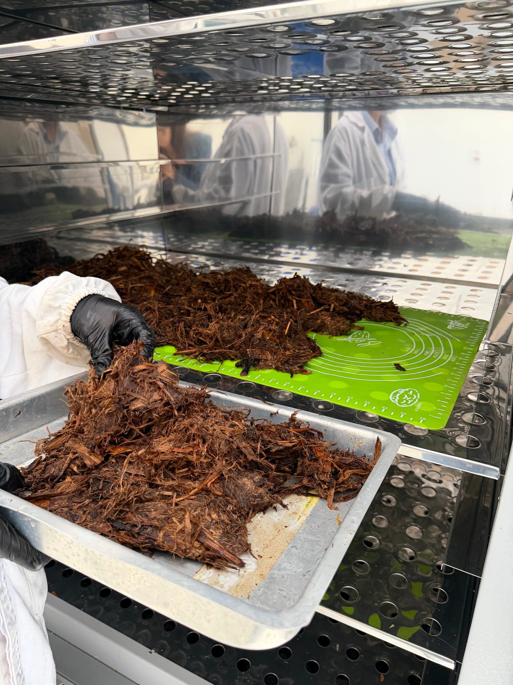 Cultivo agrícola com práticas sustentáveis